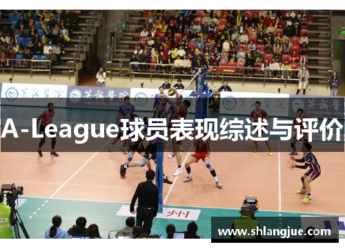A-League球员表现综述与评价