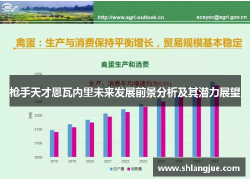 枪手天才恩瓦内里未来发展前景分析及其潜力展望