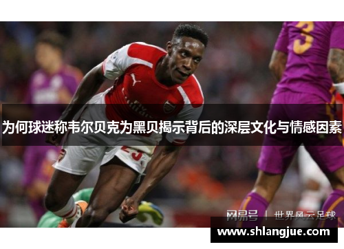 为何球迷称韦尔贝克为黑贝揭示背后的深层文化与情感因素