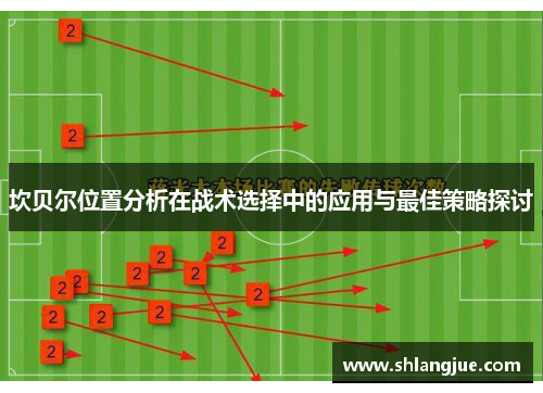 坎贝尔位置分析在战术选择中的应用与最佳策略探讨